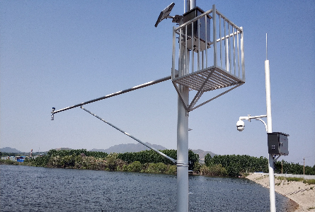 ɽ��ʡ2019���ũ���²��ѴԤ��Ԥ��ϵͳ������Ŀ