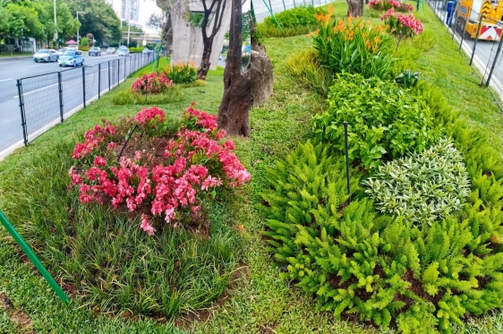 �ʼҹ���(�й���)-�ٷ���վ